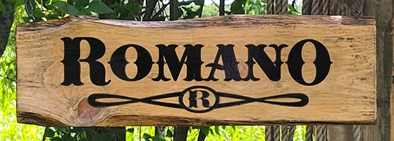 Custom Hand-Painted Family Name Hand-Painted Wooden Sign